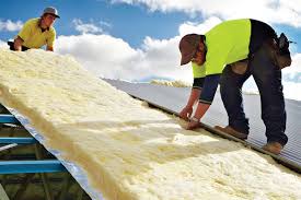 Best Blown-In Insulation  in Warren, IL